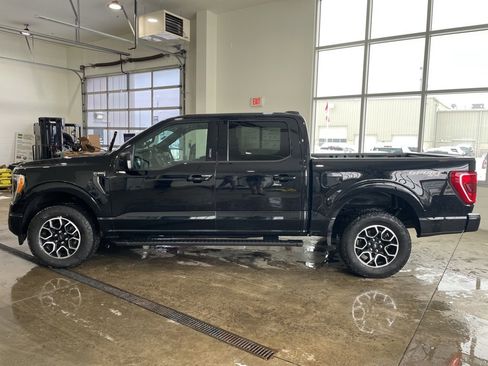 Certified 2023 Ford F150 XLT w/ Equipment Group 302A High image 9
