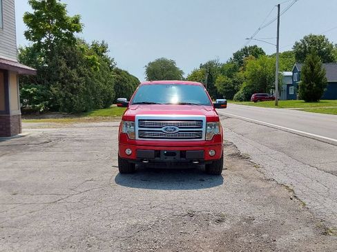 Used 2010 Ford F150 4x4 SuperCrew image 4