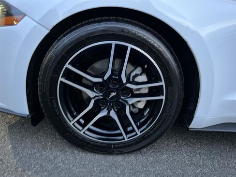 Used 2019 Ford Mustang Premium image 9