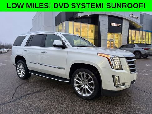 Used 2019 Cadillac Escalade Luxury image 1