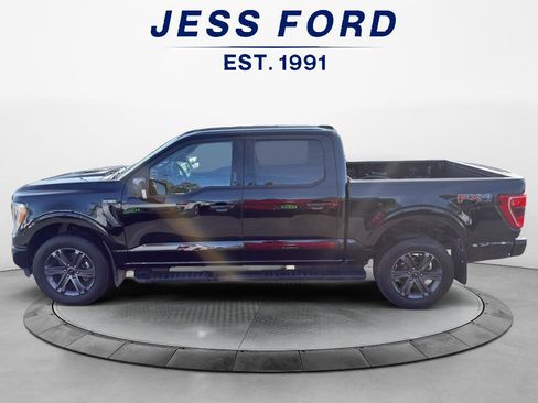 Used 2023 Ford F150 XLT w/ Equipment Group 302A High image 2