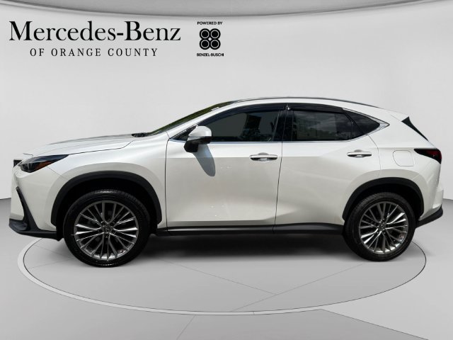 Used 2024 Lexus NX 350 AWD w/ Vision Package image 2