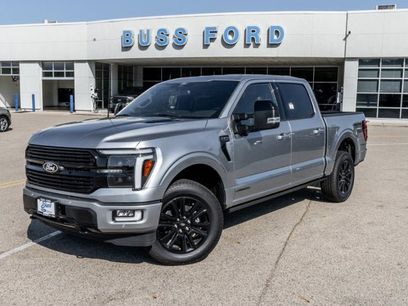 New 2025 Ford F150 Platinum