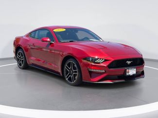 Used 2022 Ford Mustang Coupe w/ Equipment Group 101A RWD video 1