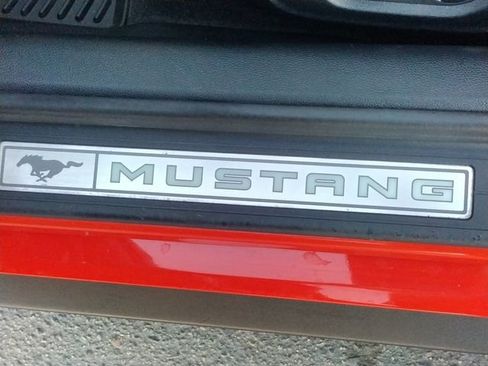 Used 2016 Ford Mustang Premium w/ Equipment Group 201A image 48