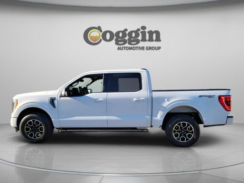 Used 2023 Ford F150 XLT w/ Equipment Group 302A High image 2