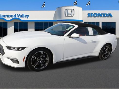 Used 2024 Ford Mustang Premium image 3