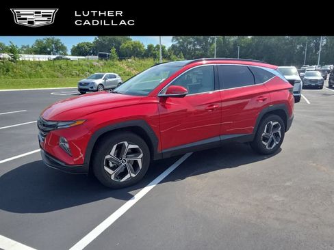 Used 2022 Hyundai Tucson Limited AWD/4WD image 1