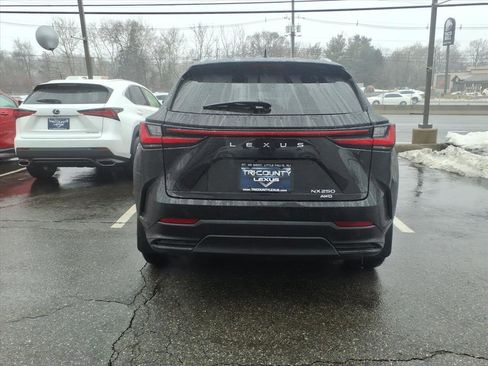 Certified 2024 Lexus NX 250 AWD w/ Cold Area Package image 5
