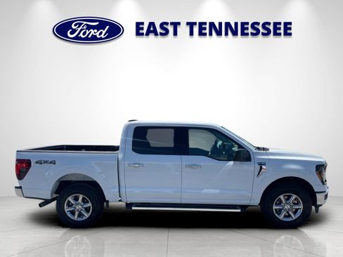 Used 2025 Ford F150 XLT w/ Equipment Group 301A Standard AWD/4WD image 2