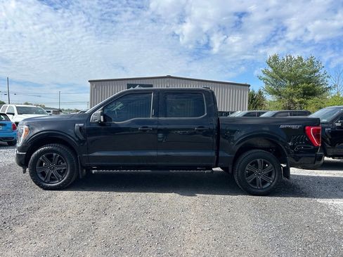 Used 2023 Ford F150 XLT w/ Equipment Group 302A High AWD/4WD image 6