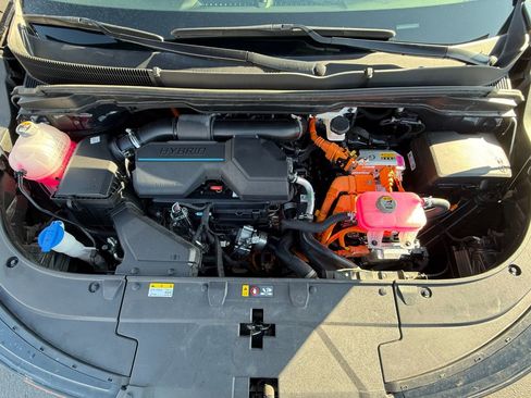 Used 2025 Kia Carnival SX image 8