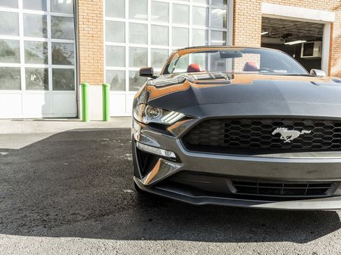 Used 2019 Ford Mustang Premium w/ Equipment Group 201A image 29