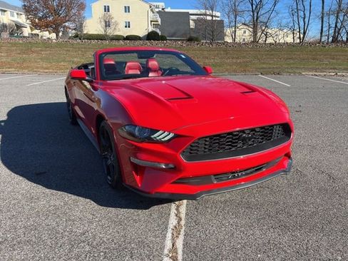 Certified 2019 Ford Mustang Premium w/ Equipment Group 201A image 13