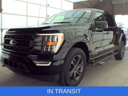 Used 2023 Ford F150 XLT w/ Equipment Group 302A High