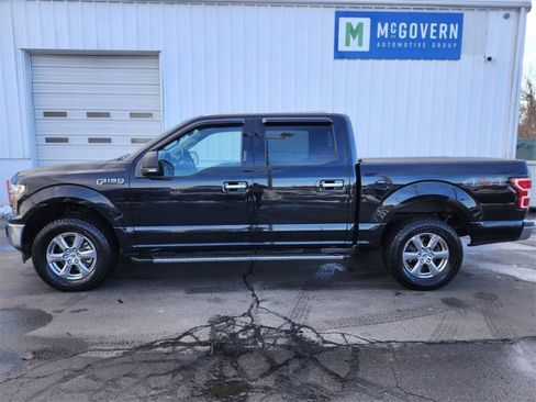Used 2019 Ford F150 XLT w/ Equipment Group 302A Luxury image 2