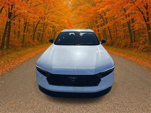 New 2025 Honda Accord Sport image 2