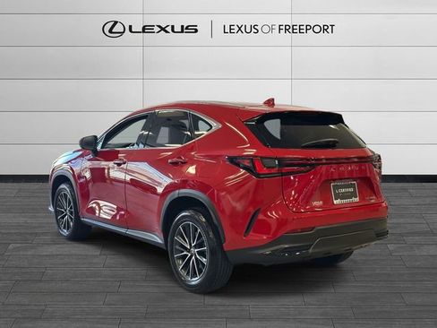 Used 2025 Lexus NX 350 AWD w/ Cold Area Package image 5