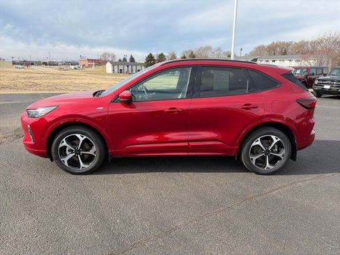 Used 2024 Ford Escape ST-Line Elite w/ Premium Technology Package AWD/4WD image 2