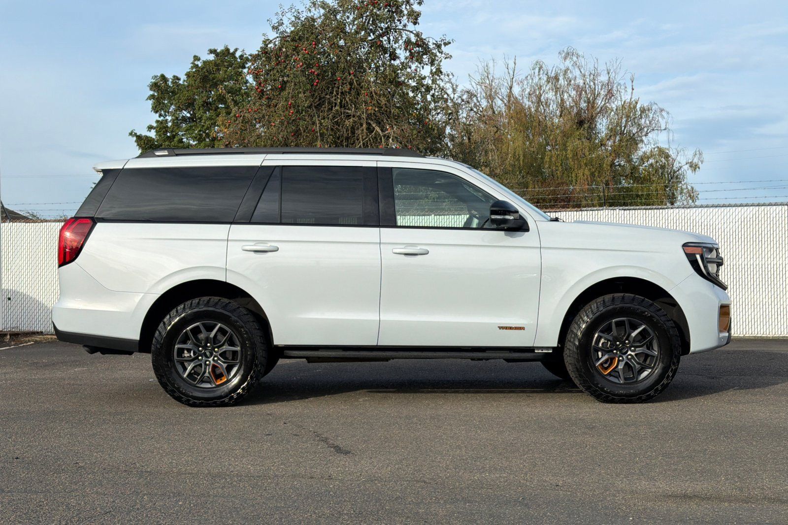 Used 2026 Ford Expedition Tremor AWD/4WD image 3