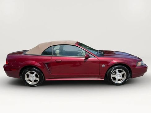 Used 2004 Ford Mustang Premium RWD image 2