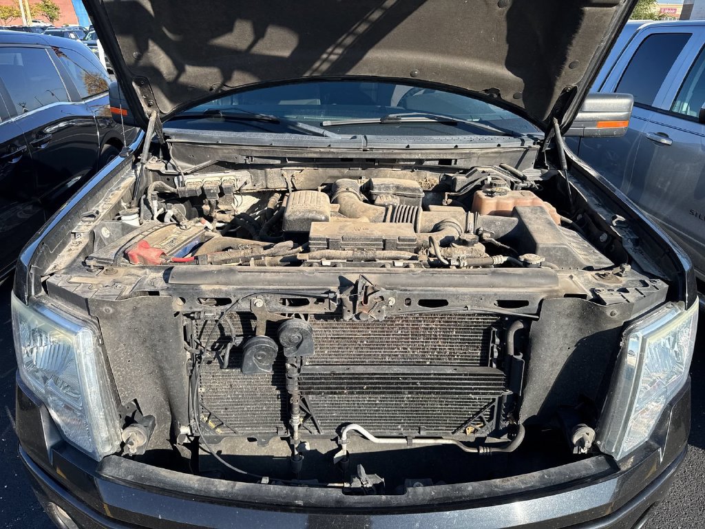 Used 2010 Ford F150 FX4 AWD/4WD image 19