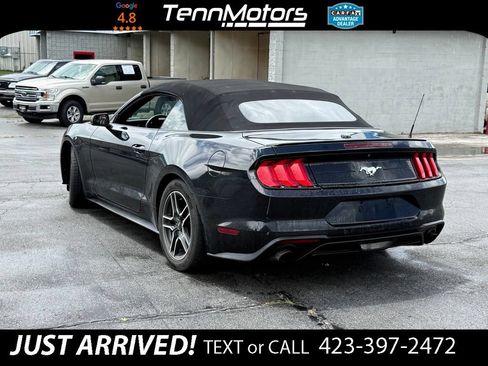 Used 2018 Ford Mustang Premium w/ Equipment Group 201A RWD image 9