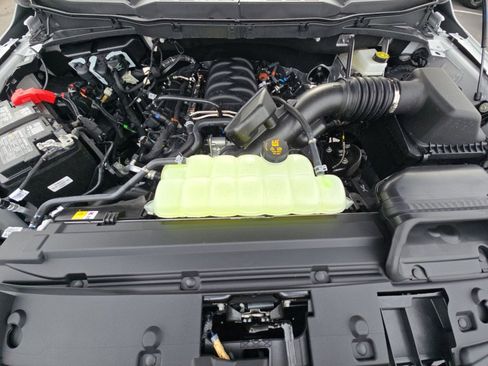 New 2025 Ford F150 XLT w/ Equipment Group 302A MID image 39