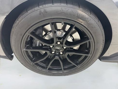 Used 2020 Ford Mustang Shelby GT350 w/ Technology Package image 15