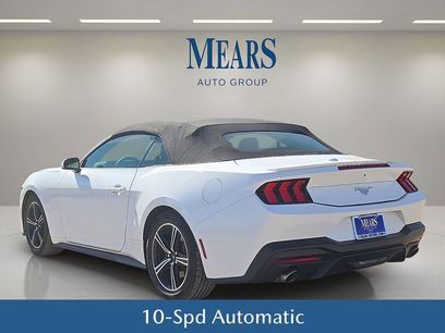 Used 2024 Ford Mustang Premium