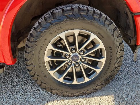 Used 2019 Ford F150 XLT w/ Equipment Group 302A Luxury AWD/4WD image 7