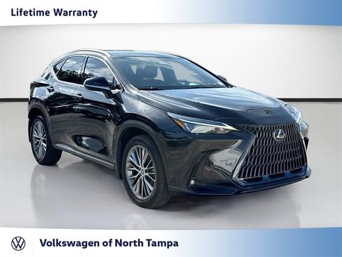 Used 2023 Lexus NX 350h AWD image 1