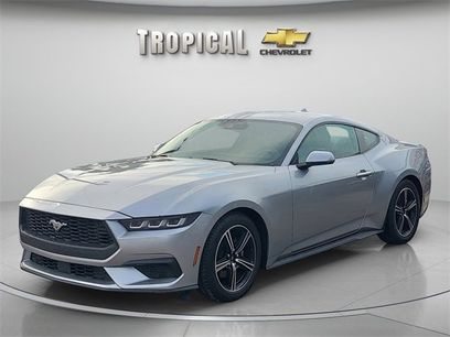 Used 2024 Ford Mustang Premium