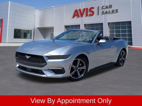 Used 2025 Ford Mustang Premium RWD image 1