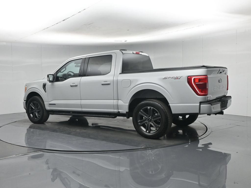 Used 2023 Ford F150 XLT w/ Equipment Group 302A High AWD/4WD image 6