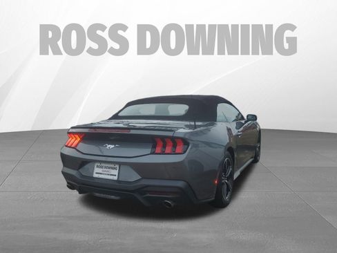 Used 2024 Ford Mustang Premium image 5