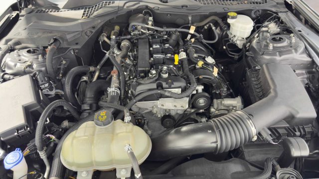 Used 2021 Ford Mustang Premium w/ Black Accent Package RWD image 32