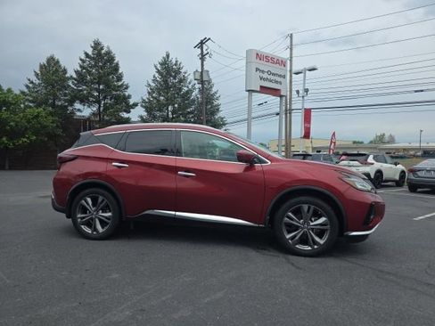 Used 2019 Nissan Murano Platinum w/ Cargo Package AWD/4WD image 4