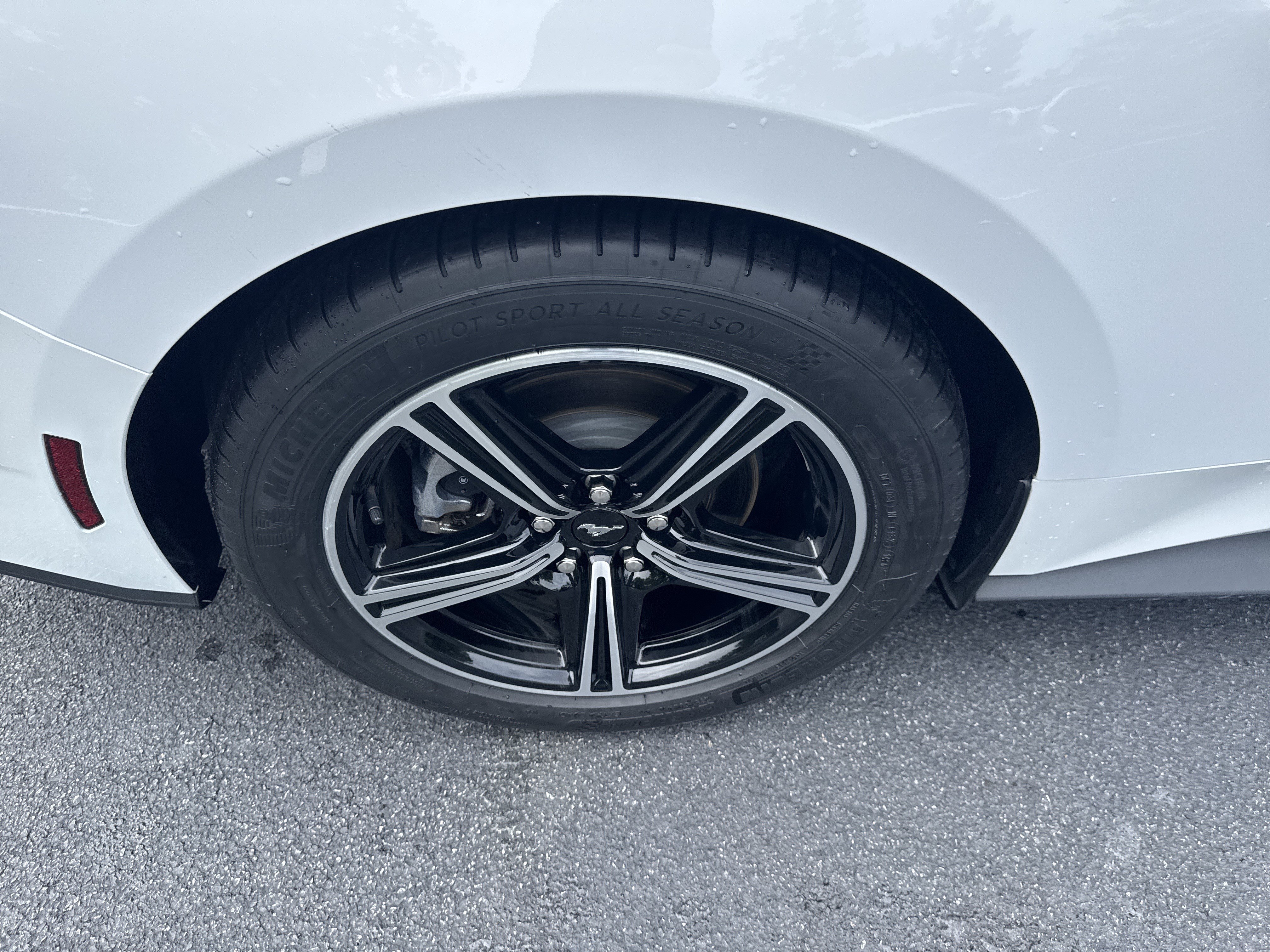 Used 2025 Ford Mustang Premium RWD image 11