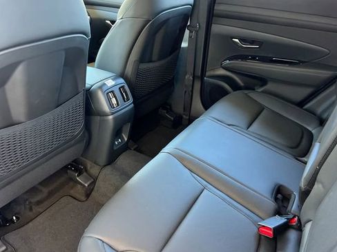 New 2026 Hyundai Tucson Limited AWD/4WD image 12