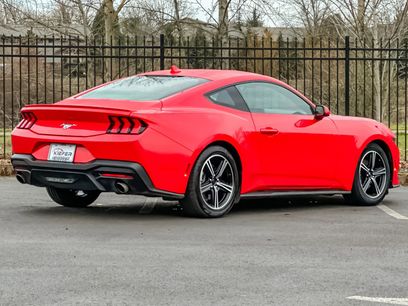 Used 2024 Ford Mustang Premium