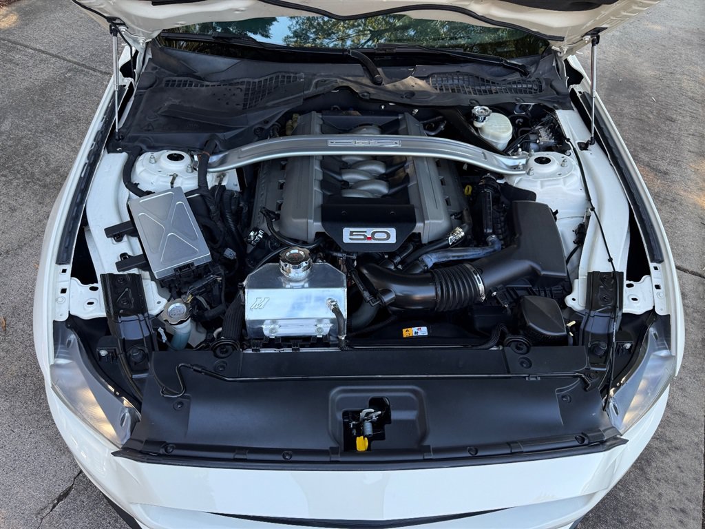 Used 2015 Ford Mustang 50 Years RWD image 67