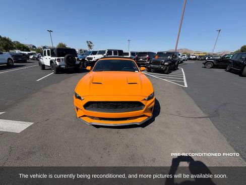 Used 2019 Ford Mustang Convertible w/ Equipment Group 101A RWD image 9