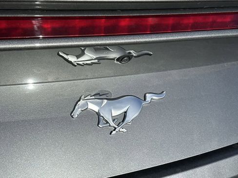 Used 2024 Ford Mustang Premium image 10