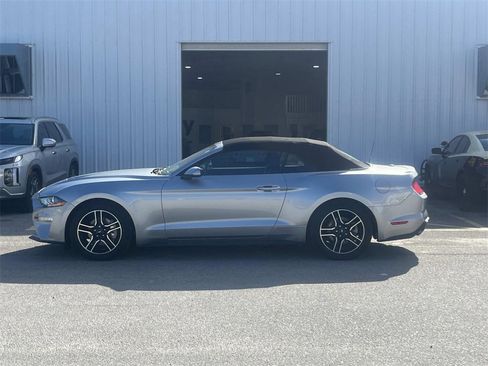 Used 2023 Ford Mustang Premium image 2