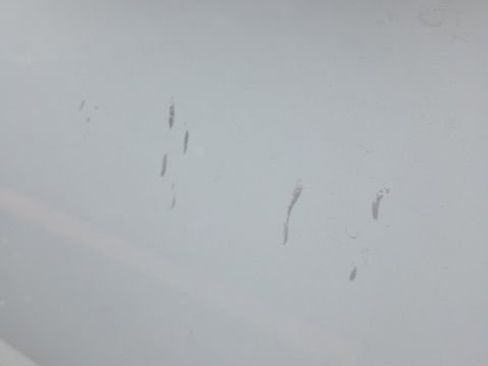 Used 2018 Chevrolet Colorado W/T w/ WT Convenience Package image 10