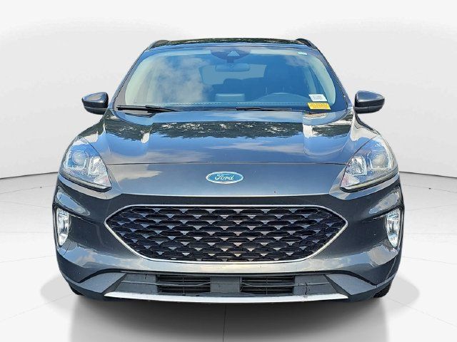 Used 2020 Ford Escape SEL FWD image 8