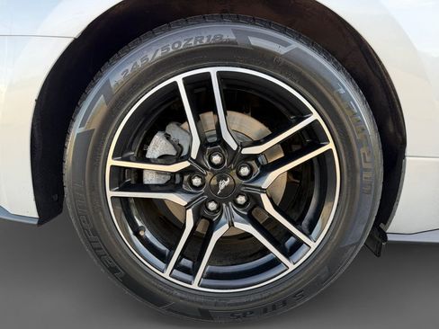 Used 2018 Ford Mustang Premium w/ Equipment Group 201A RWD image 11