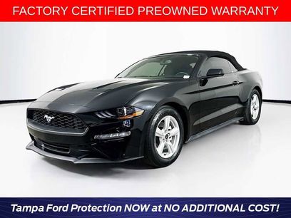 Used 2019 Ford Mustang Convertible