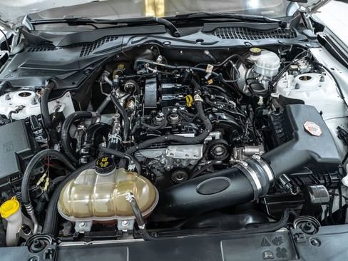 Used 2019 Ford Mustang Coupe w/ Black Accent Package RWD image 29